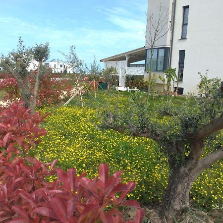 Welcome Beach Apartment Hamallaj Exterior foto